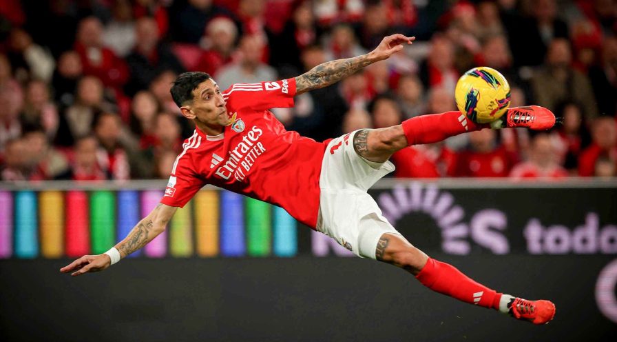 Estrela Amadora x Benfica: Palpite com odds 4 no Campeonato Português
